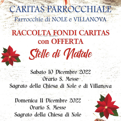 Raccolta fondi Caritas - Stelle di Natale