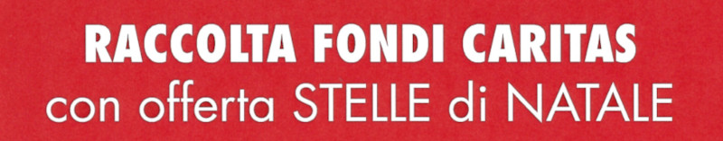 Raccolta fondi Caritas con offerta stelle di Natale (2024)